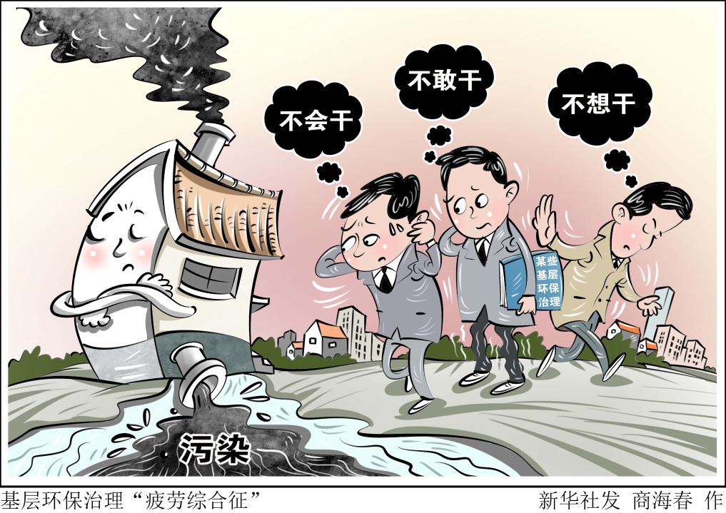引起了更多