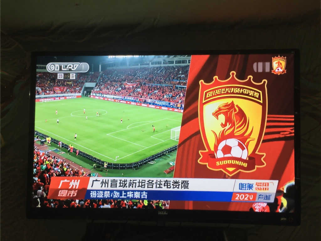 数球迷喝彩