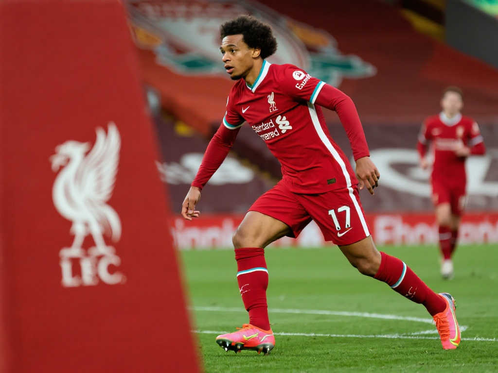 仅限于防守 仅限于防守